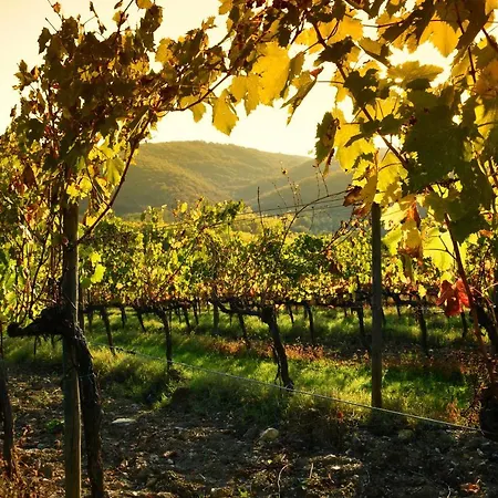 Stageroom03 - Chianti