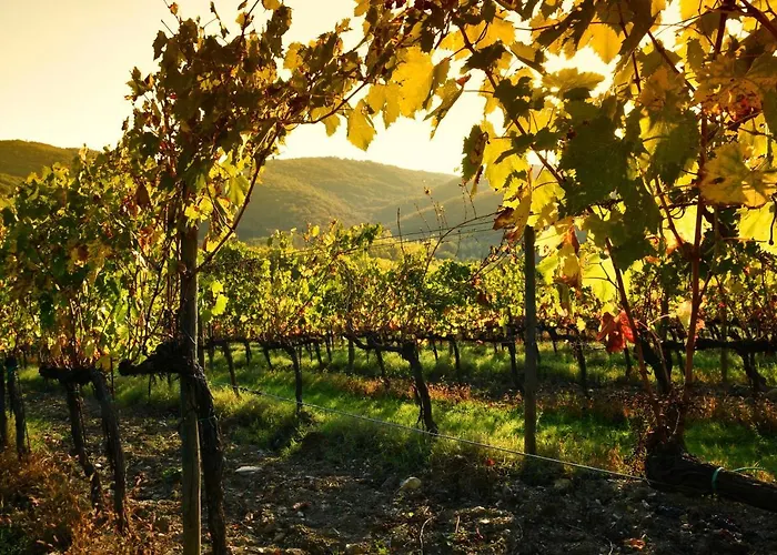 Luxury Serviced In A Historical Chianti Borgo